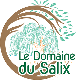 logo-img