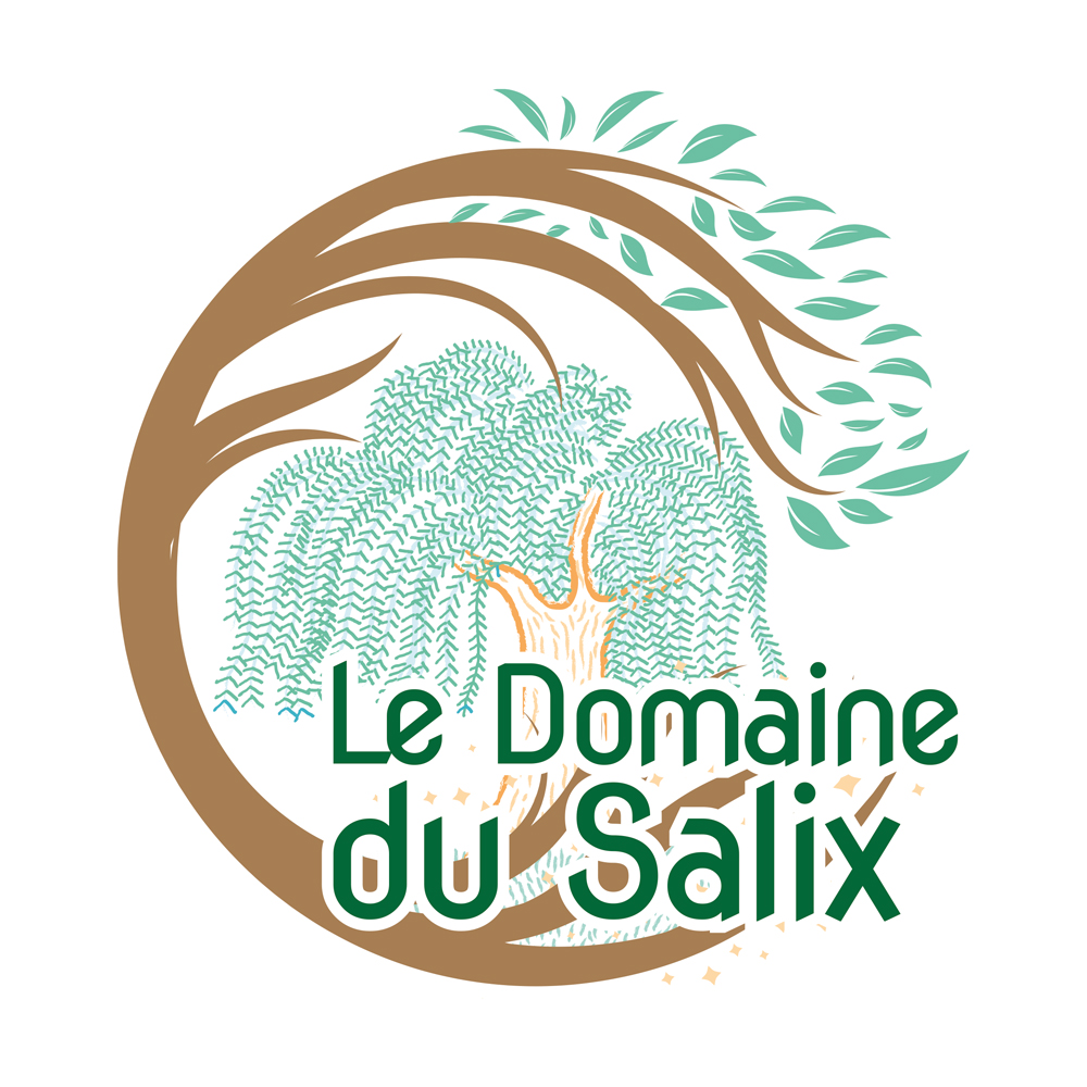 logo Domaine du Salix