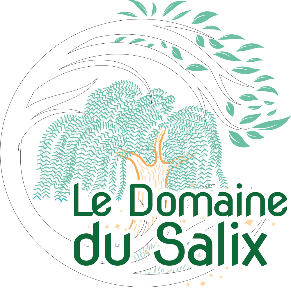 logo Domaine du Salix